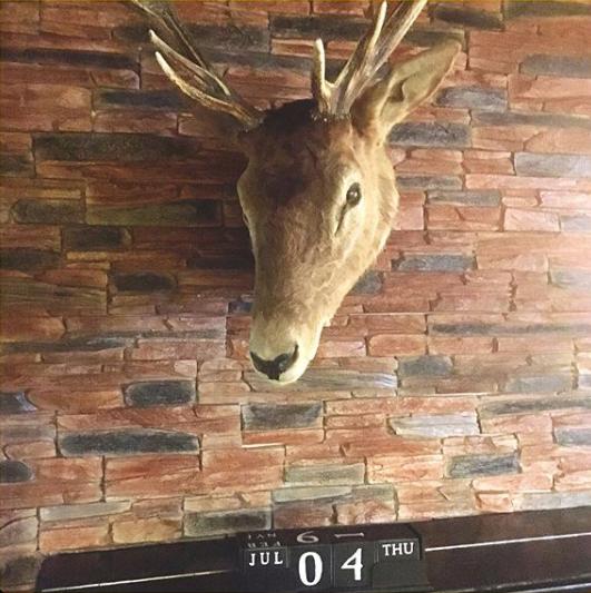 Я работаю программистом в компании, но свои 50 лет хочу встретить иначе - 15 Я работаю программистом в компании, но свои 50 лет хочу встретить иначе - 15