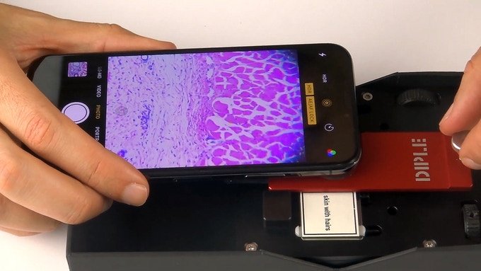 Микроскоп Diple, подключаемый к смартфону, обеспечивает увеличение в 1000 раз