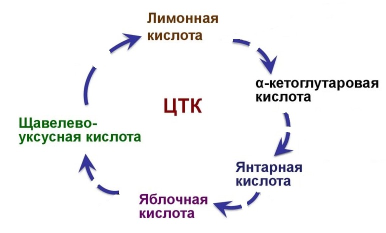 Памятка по борьбе с алкоголем или Как пережить фуршеты - 5