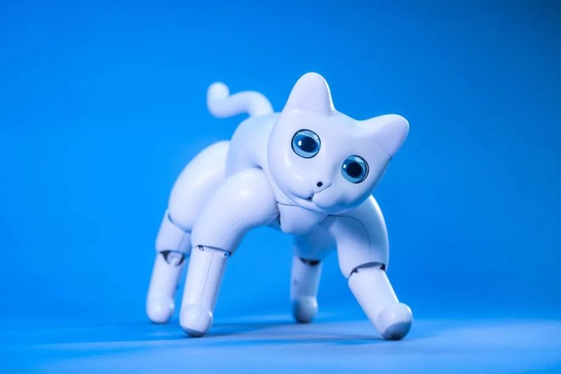 Китайцы сделали кошку-робота