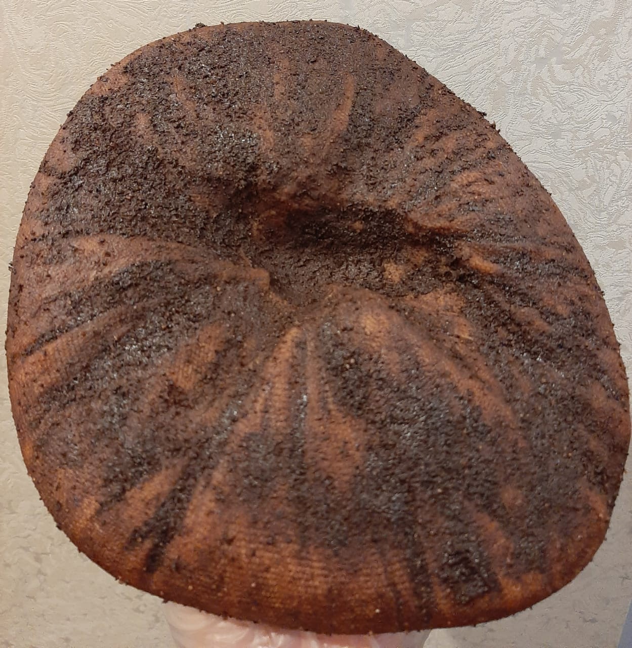 Поговорим о… сыре? - 7 Поговорим о… сыре? - 7