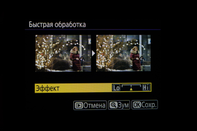 Новая статья: Обзор беззеркальной фотокамеры Nikon Z50: младший брат
