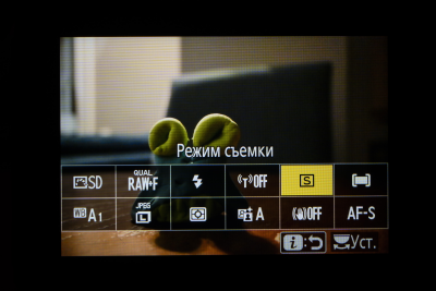 Новая статья: Обзор беззеркальной фотокамеры Nikon Z50: младший брат