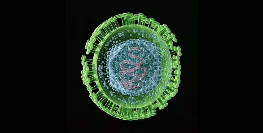 Впервые учёные убили спящий вирус герпеса в клетках человека - 1