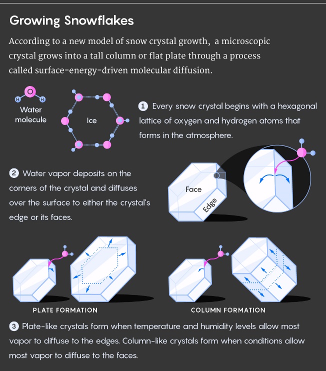 Великая теория снежинок - 8