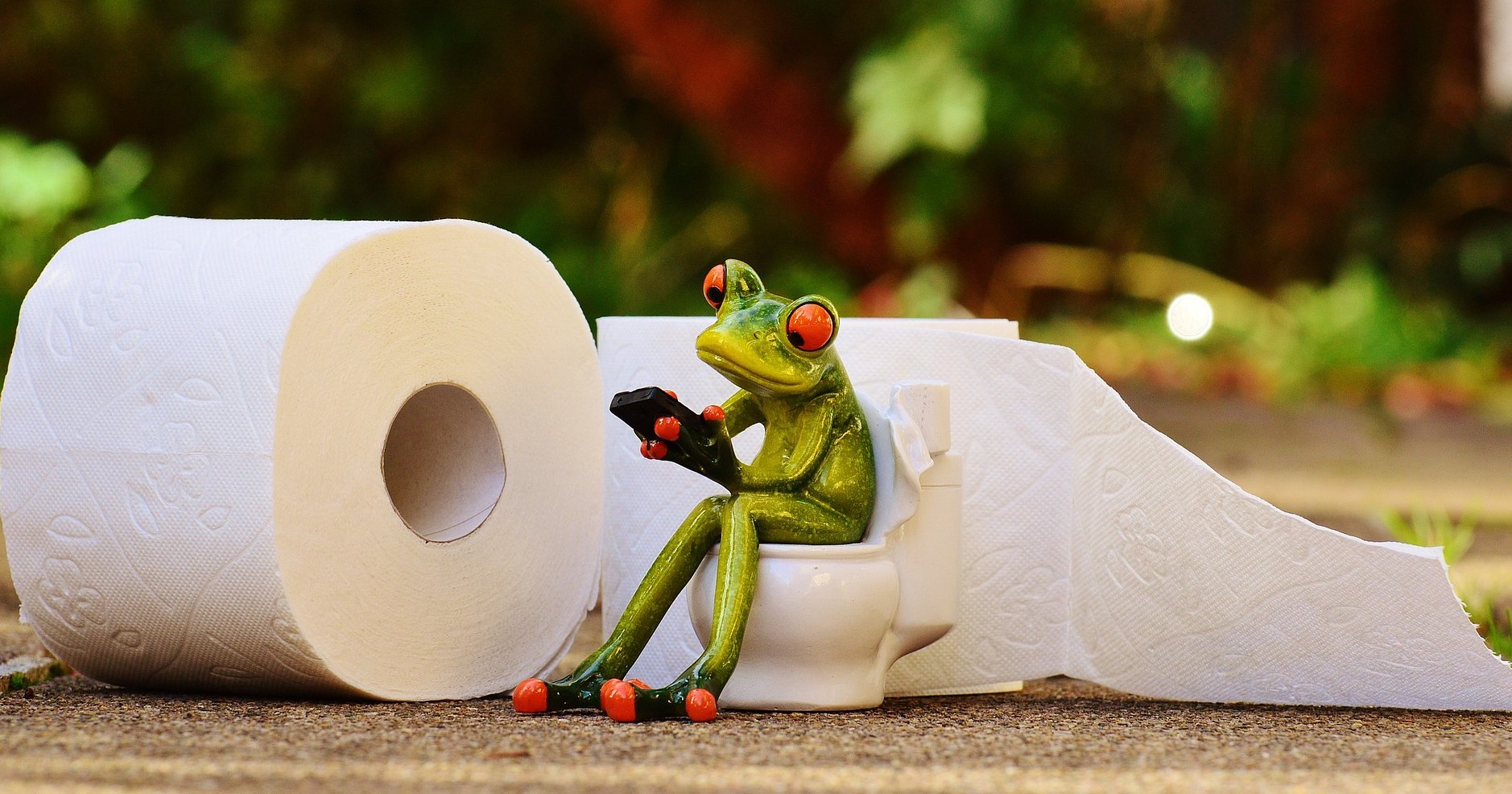 История туалетной бумаги: самое деликатное изобретение