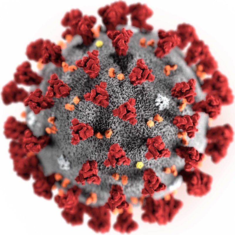 Коронавирус, свиной грипп и другие болезни: так ли опасна новая эпидемия