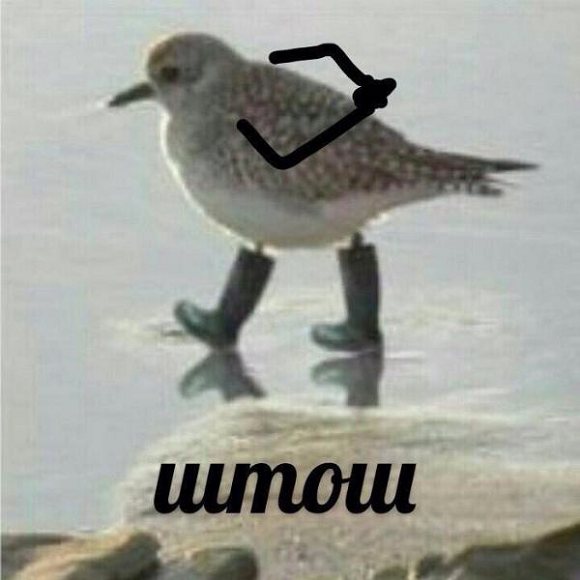 Поиск багов как образ жизни: обзор №2 - 9