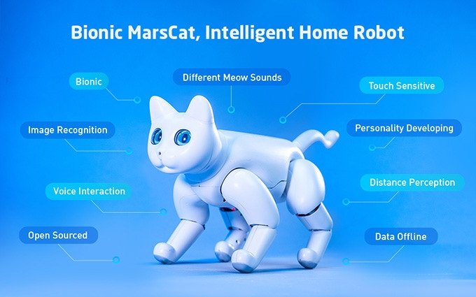 На выпуск робота-кота MarsCat собрано почти в десять раз больше средств, чем было намечено