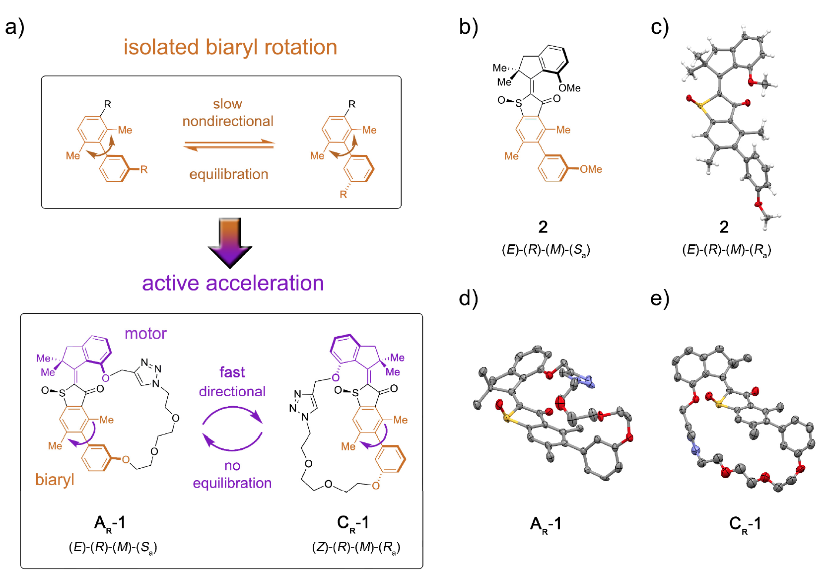 Синхронное фуэте: биологические моторы в нанотехнологиях - 2 Синхронное фуэте: биологические моторы в нанотехнологиях - 2