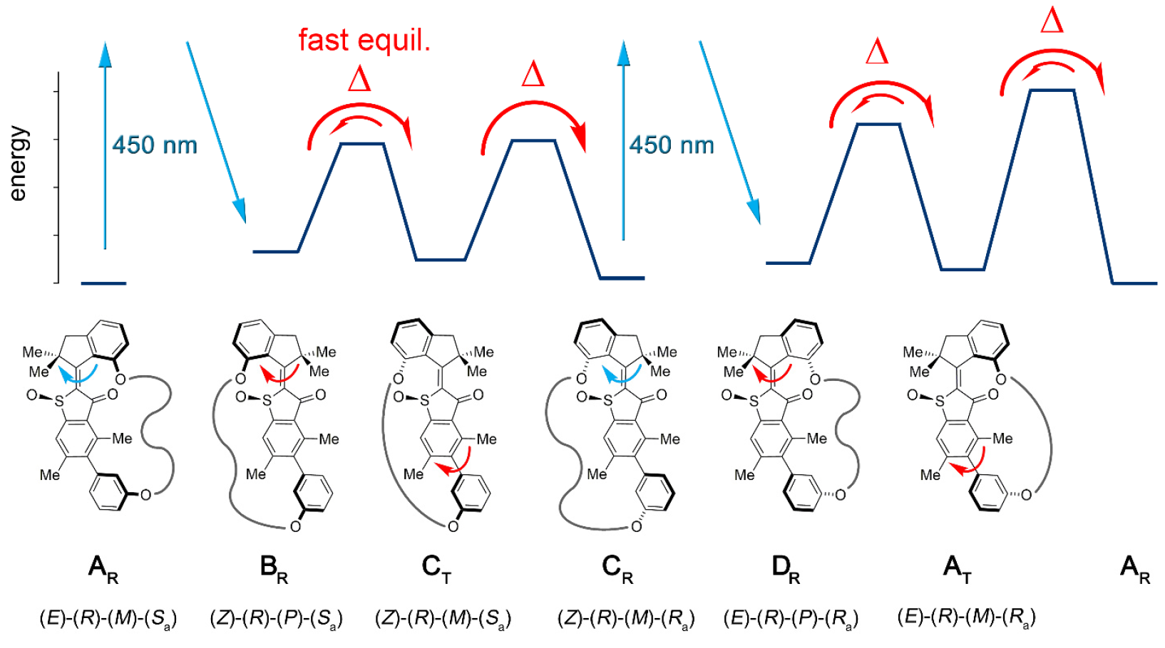Синхронное фуэте: биологические моторы в нанотехнологиях - 3 Синхронное фуэте: биологические моторы в нанотехнологиях - 3