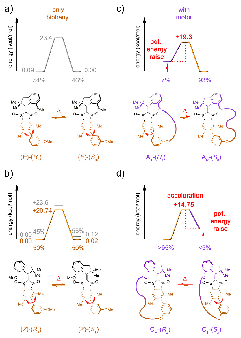 Синхронное фуэте: биологические моторы в нанотехнологиях - 7 Синхронное фуэте: биологические моторы в нанотехнологиях - 7