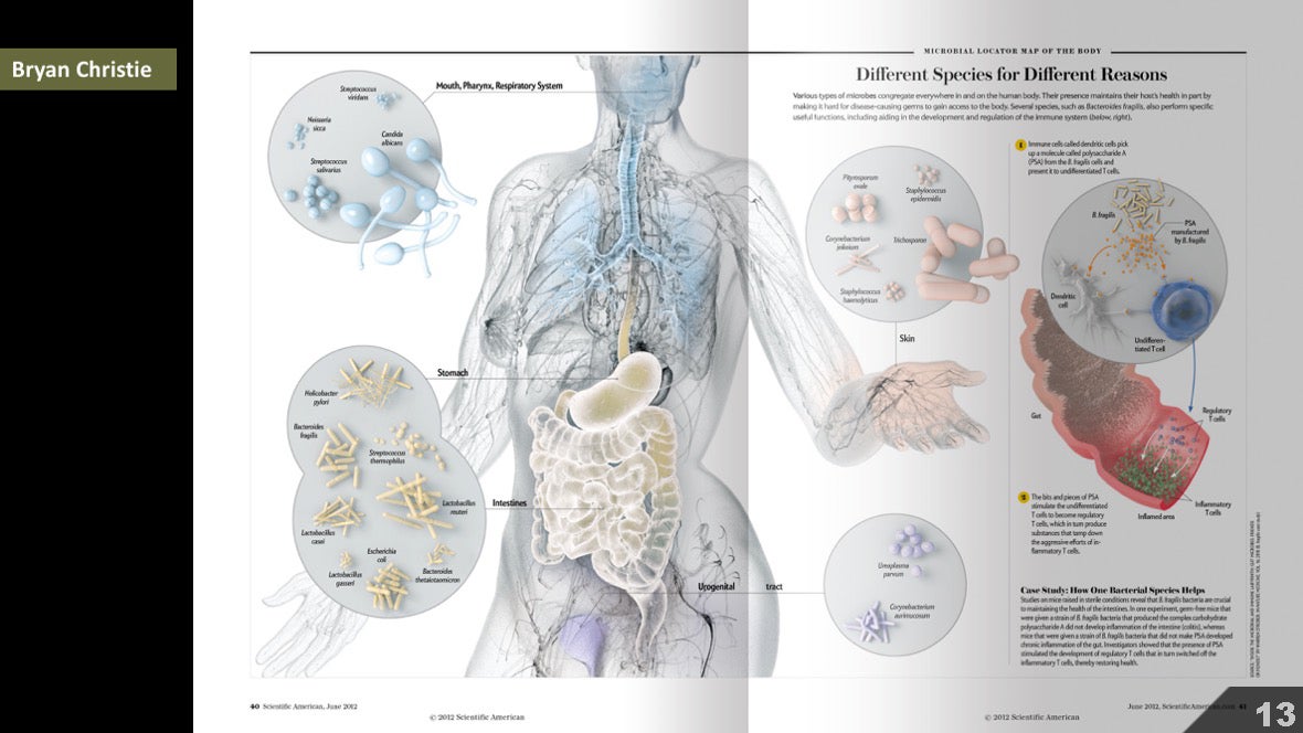 Визуализация науки: иллюстрации и инфографика - 10 Визуализация науки: иллюстрации и инфографика - 10