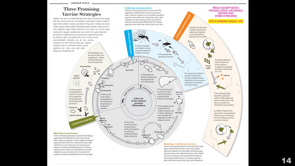 Визуализация науки: иллюстрации и инфографика - 12 Визуализация науки: иллюстрации и инфографика - 12