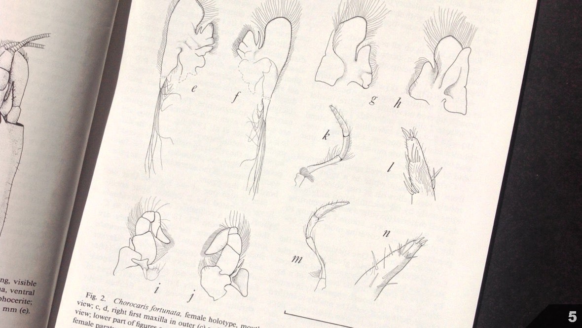 Визуализация науки: иллюстрации и инфографика - 2 Визуализация науки: иллюстрации и инфографика - 2