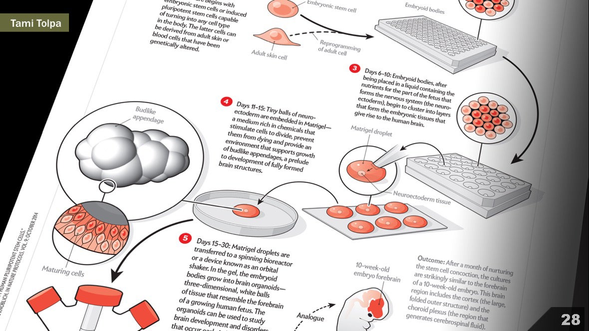 Визуализация науки: иллюстрации и инфографика - 29 Визуализация науки: иллюстрации и инфографика - 29