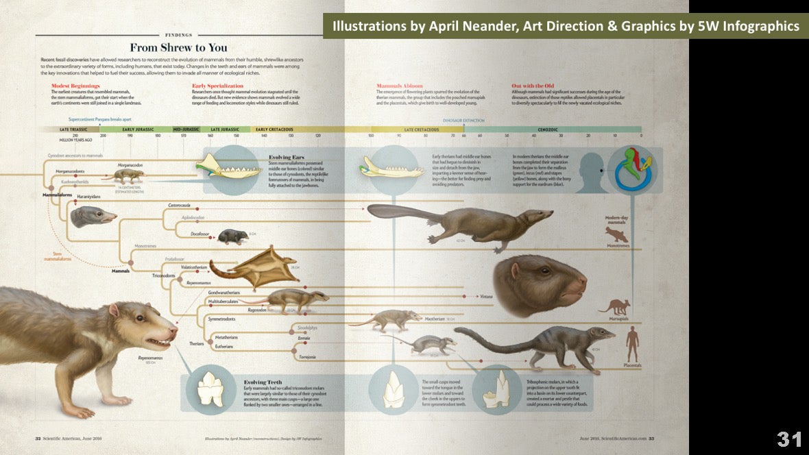 Визуализация науки: иллюстрации и инфографика - 33 Визуализация науки: иллюстрации и инфографика - 33