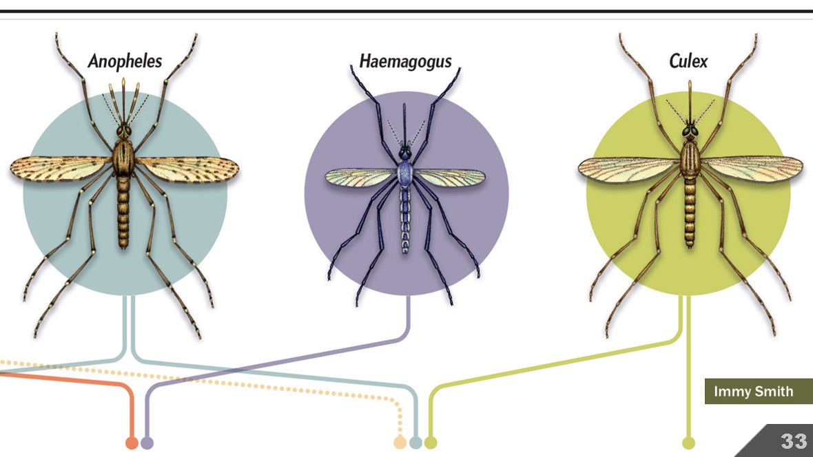 Визуализация науки: иллюстрации и инфографика - 37 Визуализация науки: иллюстрации и инфографика - 37