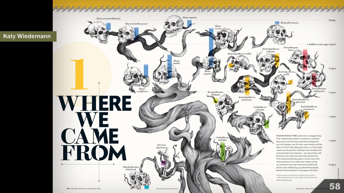 Визуализация науки: иллюстрации и инфографика - 70 Визуализация науки: иллюстрации и инфографика - 70