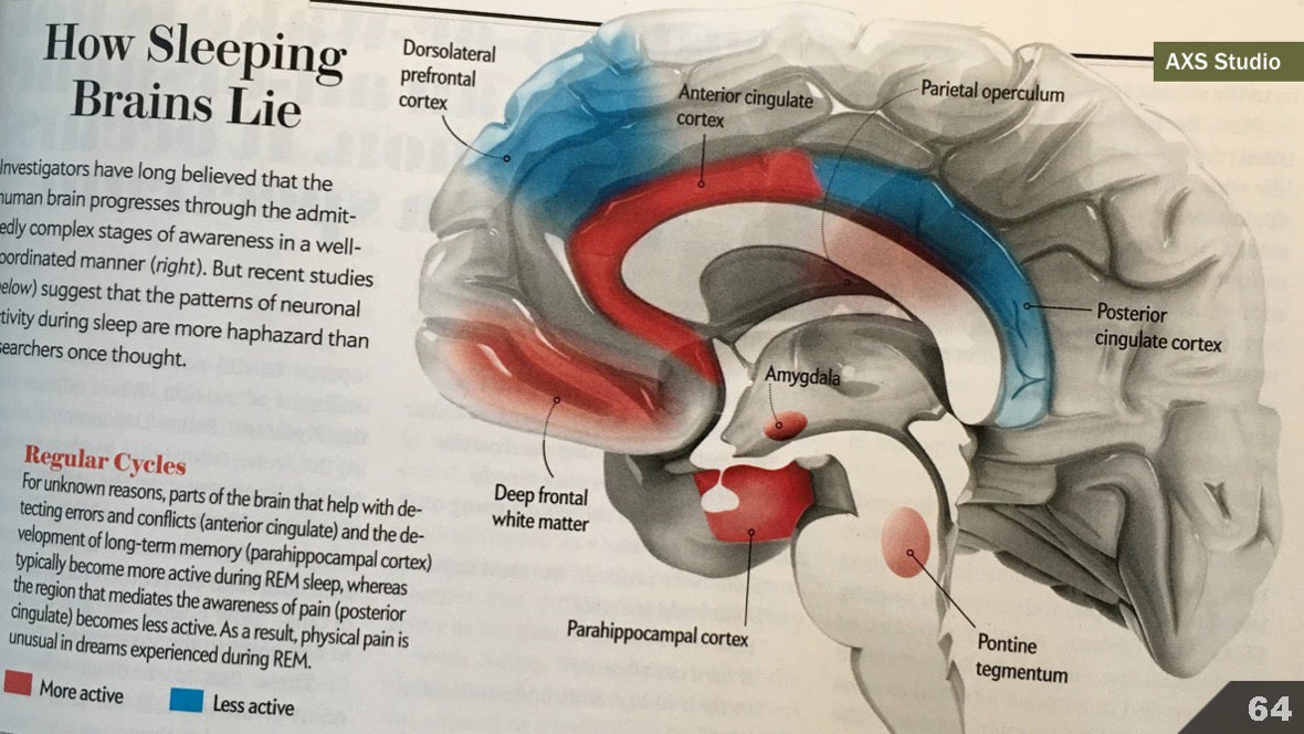 Визуализация науки: иллюстрации и инфографика - 76 Визуализация науки: иллюстрации и инфографика - 76