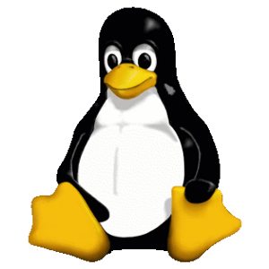 Linux 5.6 станет «самым восхитительным ядром за много лет» - 1