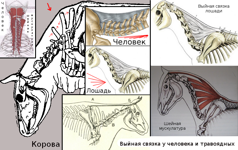 Хрестоматийный случай одного гика - 8 image