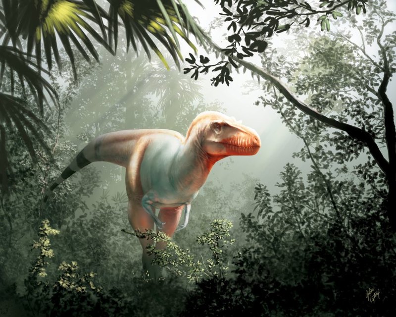 Обнаружен новый вид динозавров — близкий родственник тираннозавра рекса