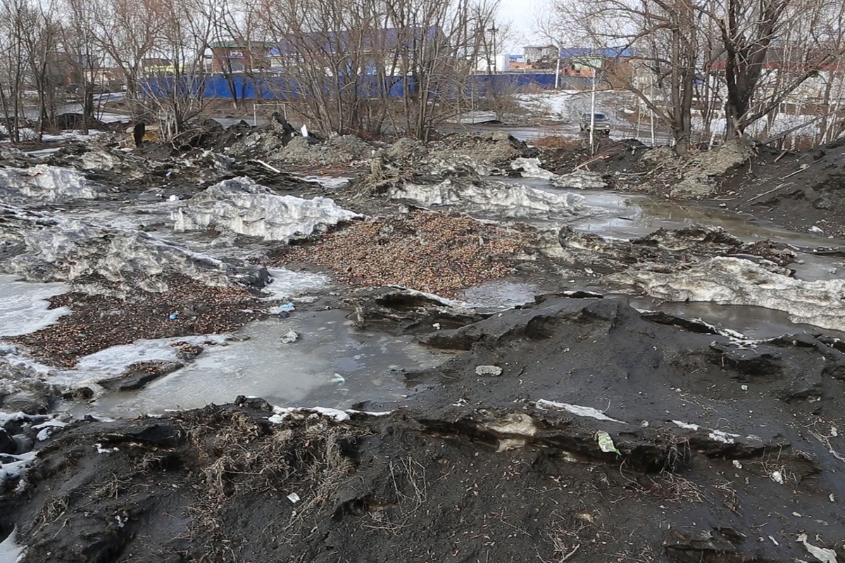 Мне 14 и я решил разработать игру - 1 image