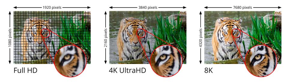 Глаза, мозг, качество видео: размышления о 120fps, 8K, HDR, палочках, колбочках и «эффекте мыльной оперы» - 5