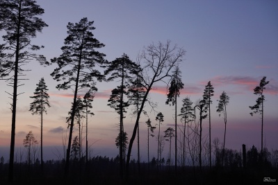 Новая статья: Обзор фотокамеры Sony RX100 VII: элитная карманная камера