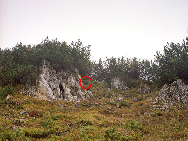 Немецкий фотограф предложил поискать снайперов