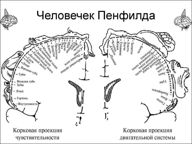 Мелкомоторная блокировка дыхания в компьютерном спорте (МКМ) - 2 image
