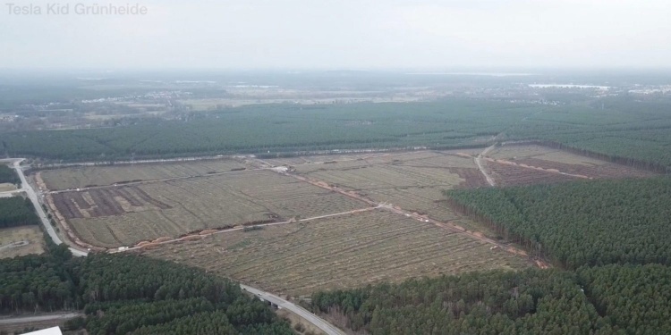 Леса больше нет — Tesla завершила первый этап по вырубке деревьев под Гигафабрику в Германии