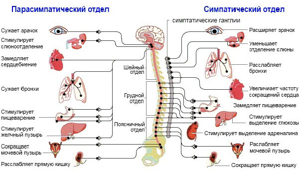 Почему мы выгораем? - 2