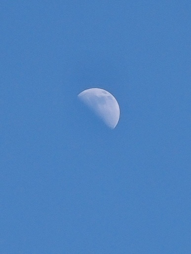 Съёмка Луны на смартфон в ясный день? Samsung Galaxy S20 Ultra позволяет и такое