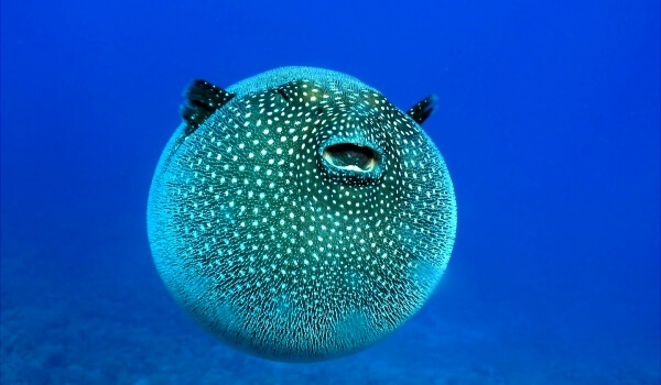 Как развивать сервис, когда вокруг крутые конкуренты - 5