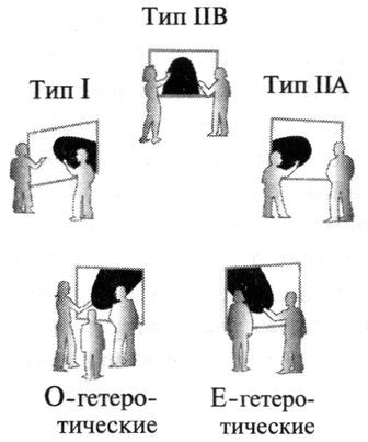 Эволюция теории струн до М-теории - 4