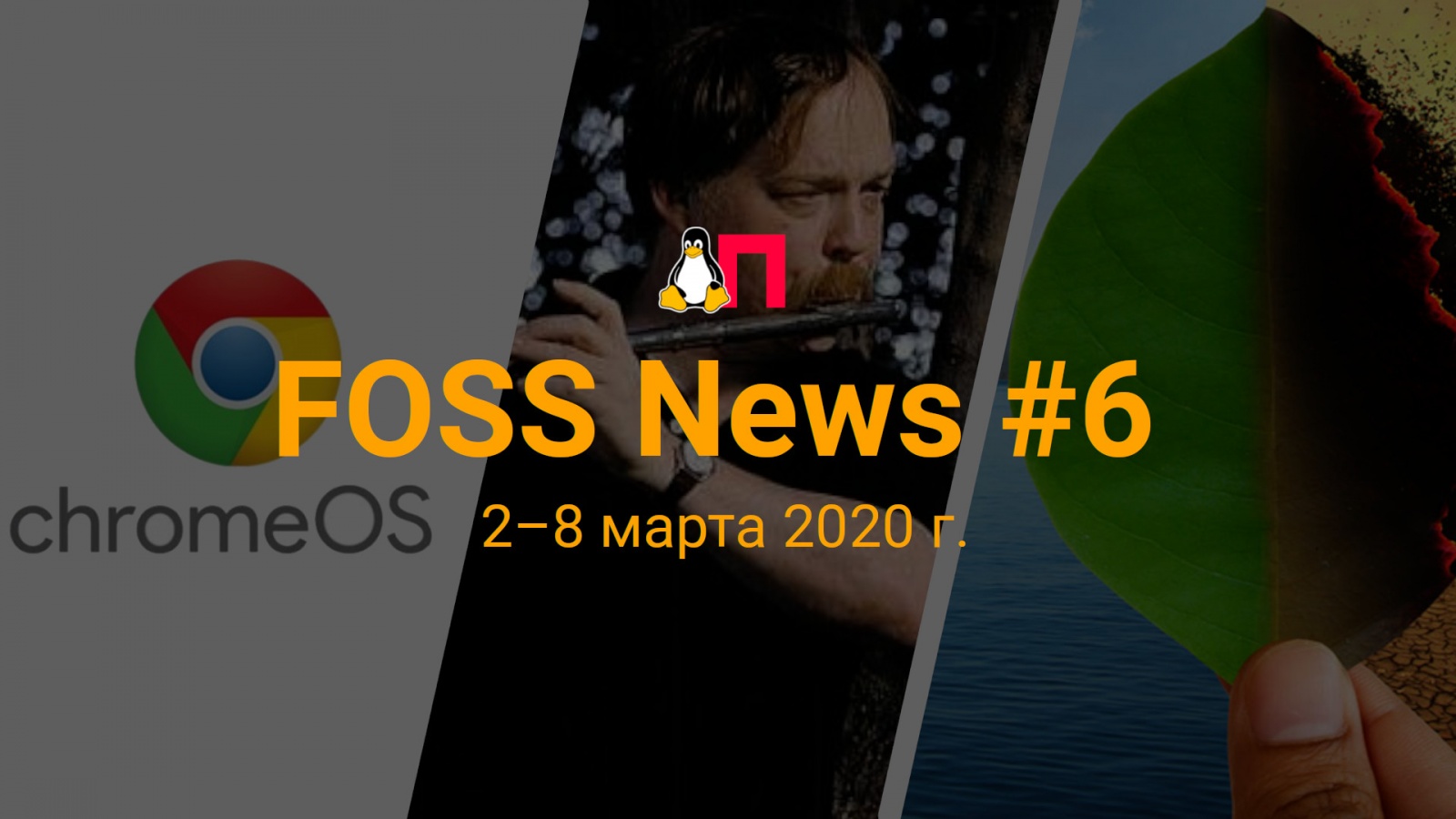 FOSS News №6 — обзор новостей свободного и открытого ПО за 2-8 марта 2020 года - 1