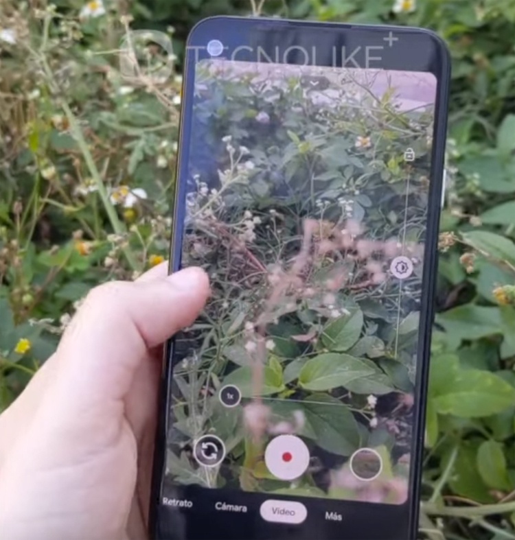 Экран Full HD+ и 12-Мп камера: рассекречено оснащение смартфона Google Pixel 4a