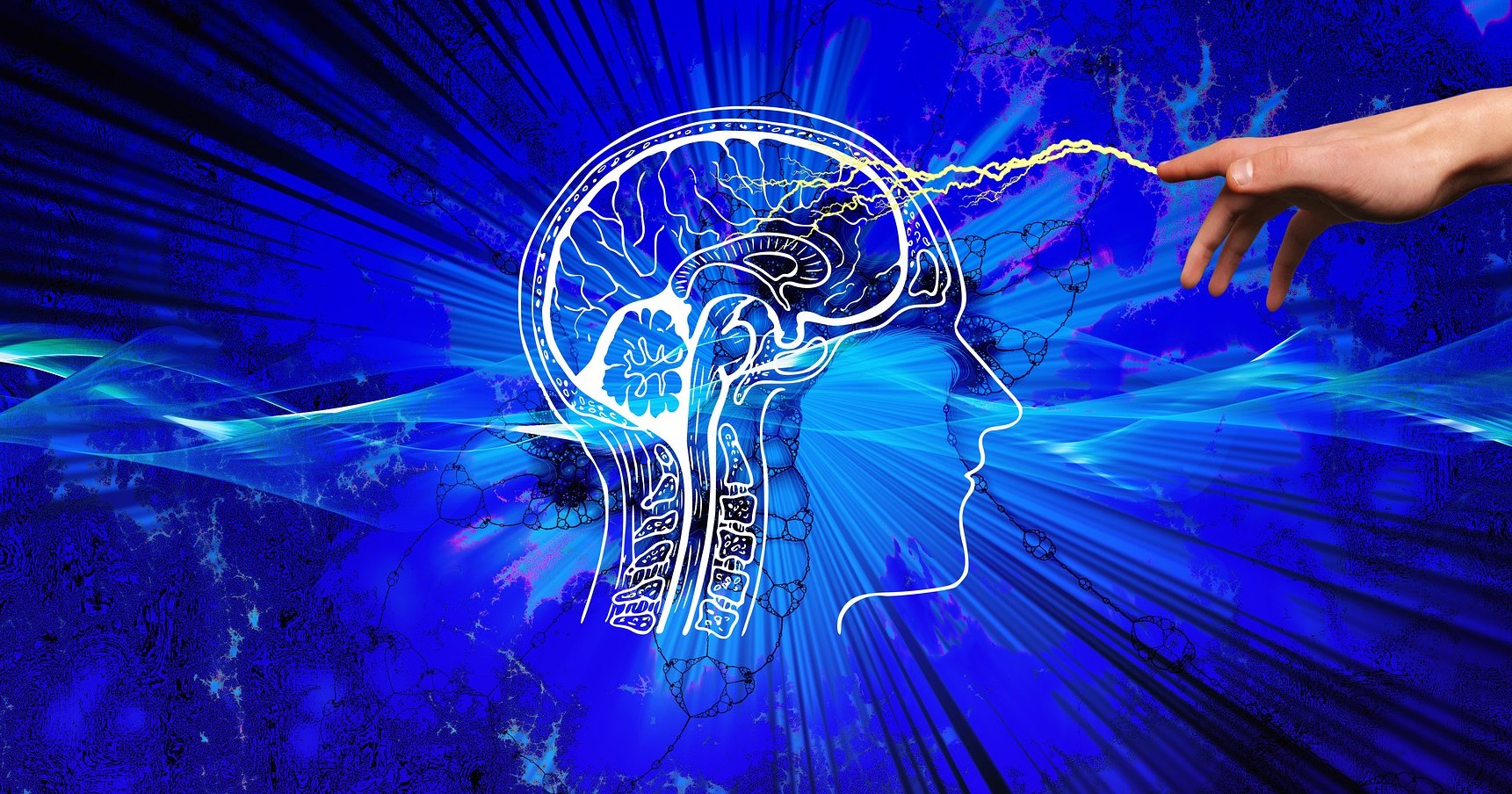 В каких частях мозга зарождается страх В каких частях мозга зарождается страх