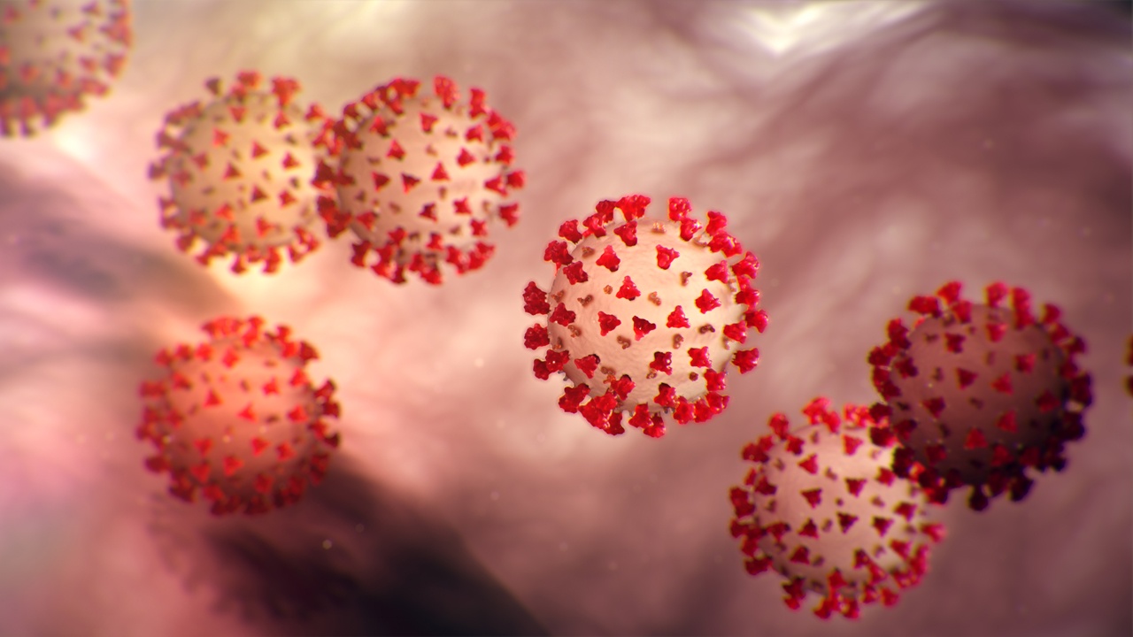 Мошенники используют коронавирус как способ распространения вредоносного ПО - 1