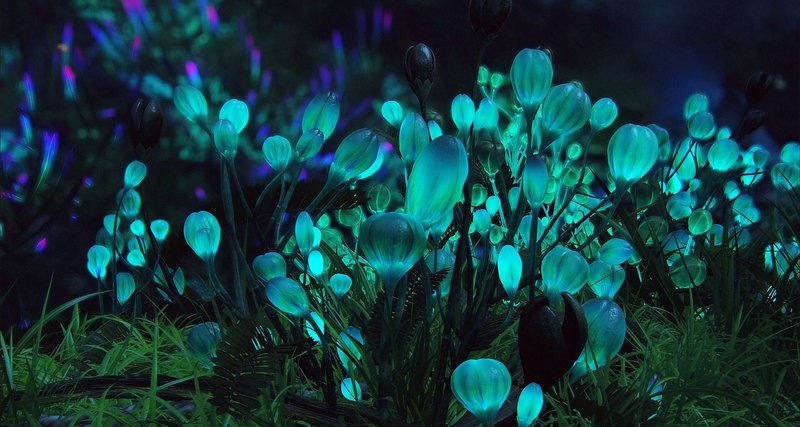 Игра в бога: искусственные организмы - 2