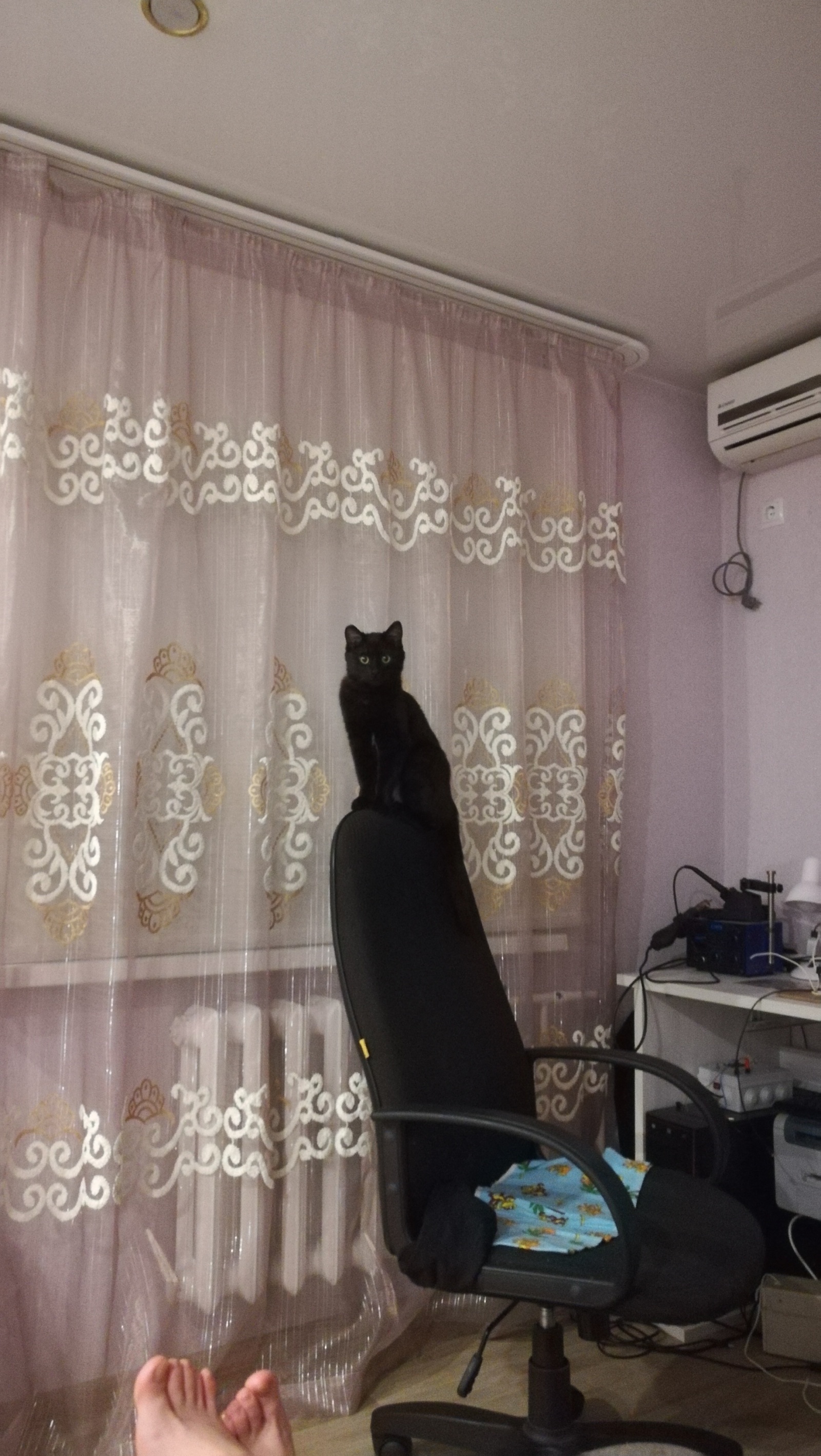 Самый доступный метод автоматизации штор - 1 Самый доступный метод автоматизации штор - 1