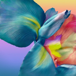 Все обои Huawei P40 Pro в высоком разрешении