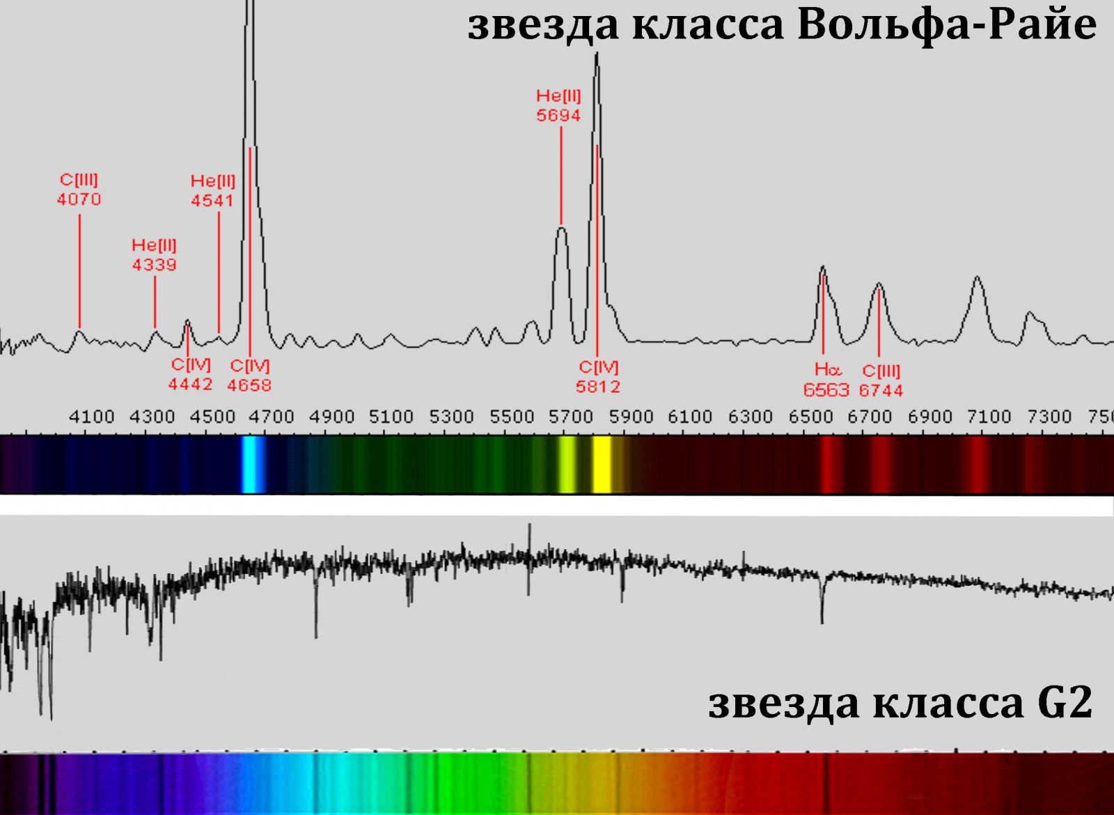 Звезды Вольфа-Райе — монстры под вуалью - 13