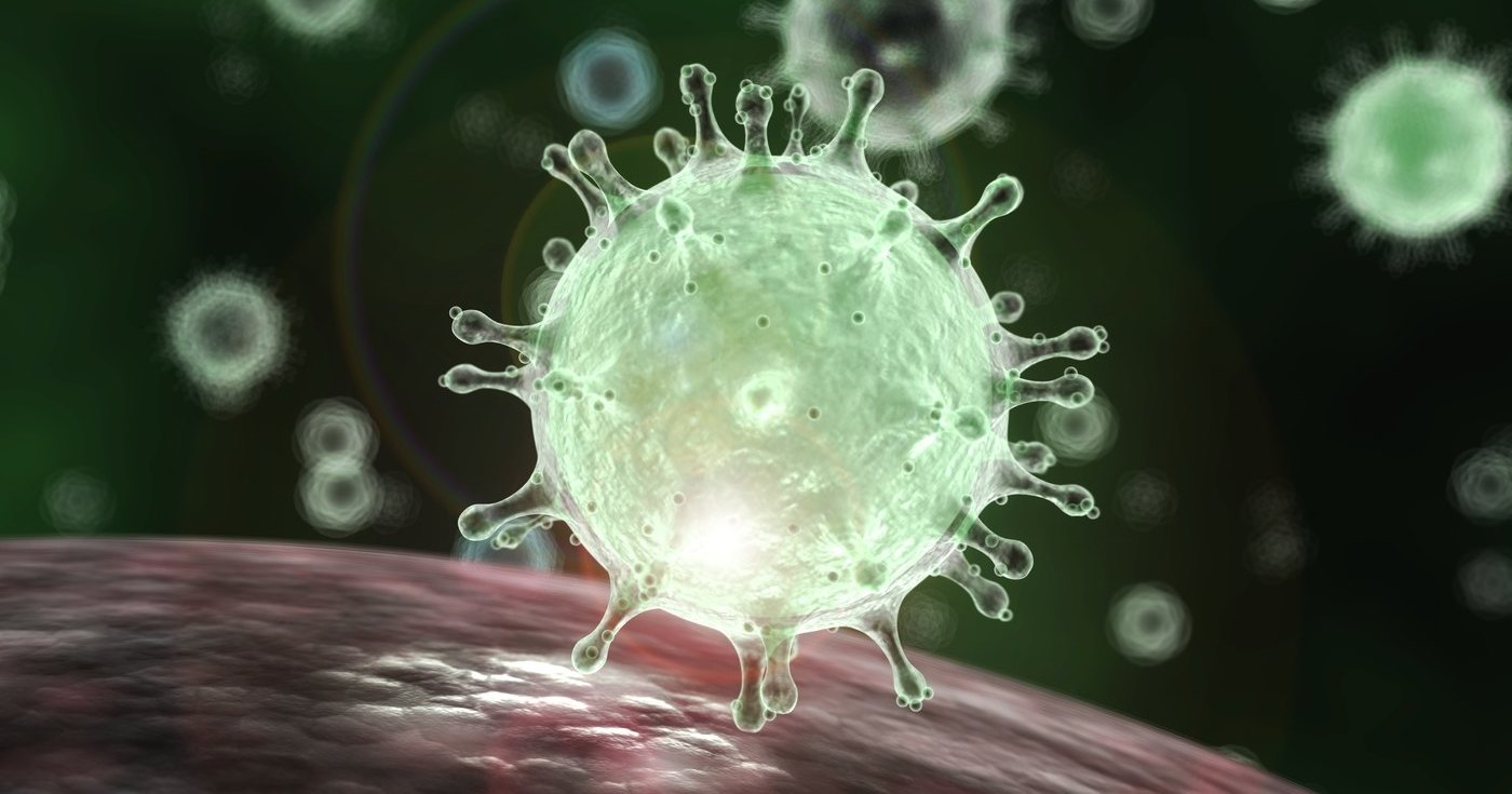 Найдены новые очаги размножения коронавируса