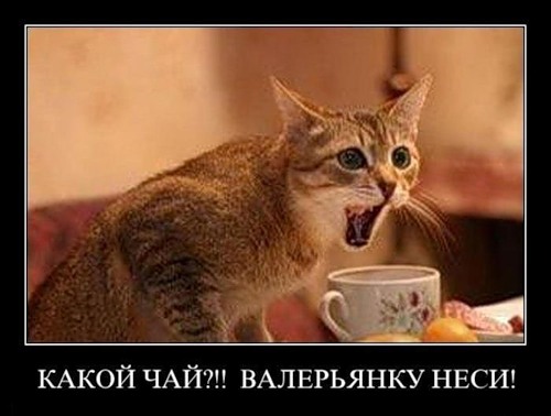 Проект «Стакан». Часть 2. Сахар, утепленные стенки и дуть или не дуть - 5 Проект «Стакан». Часть 2. Сахар, утепленные стенки и дуть или не дуть - 5