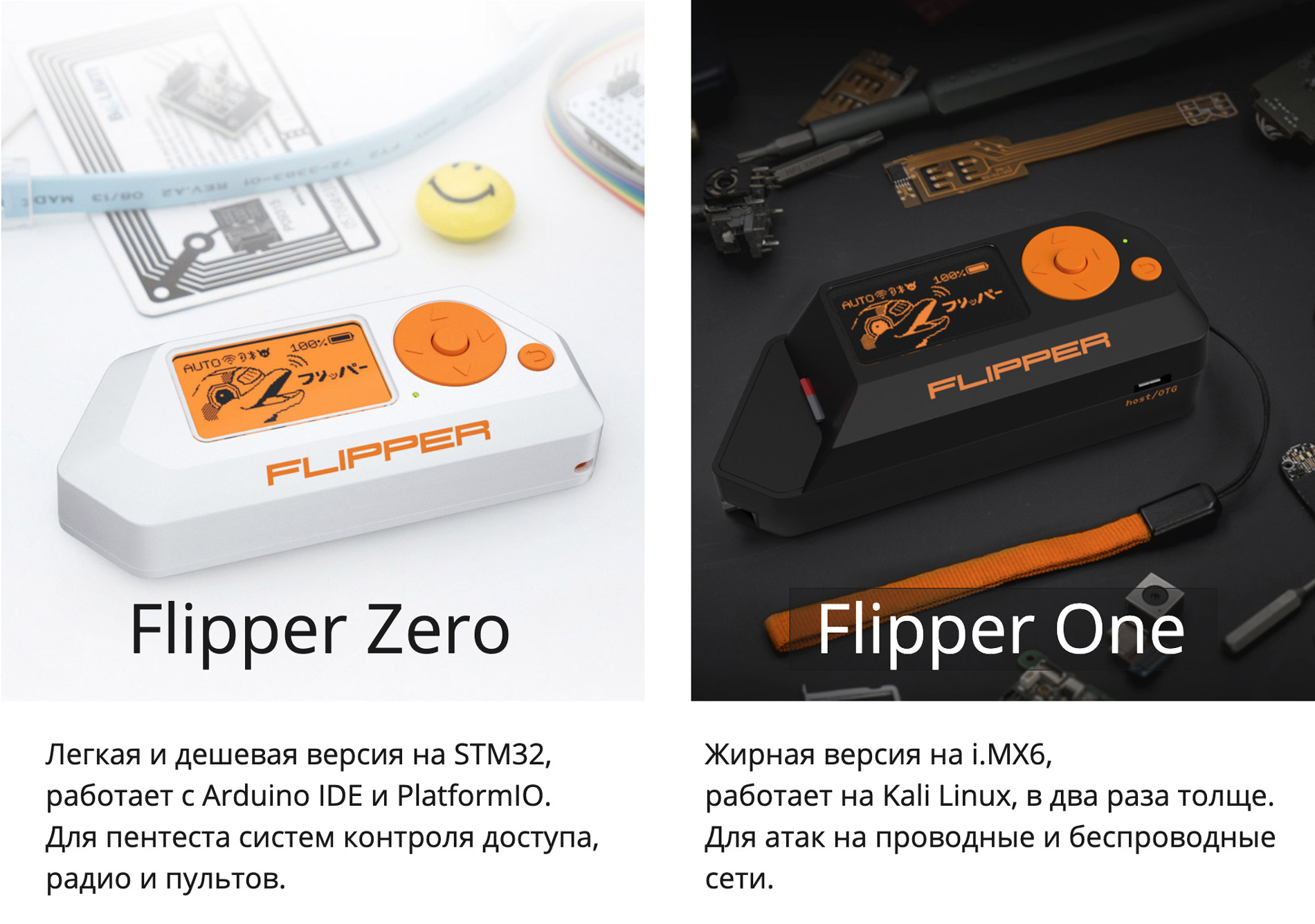 Flipper Zero-One — теперь два устройства. Подготовка к Кикстартеру - 1