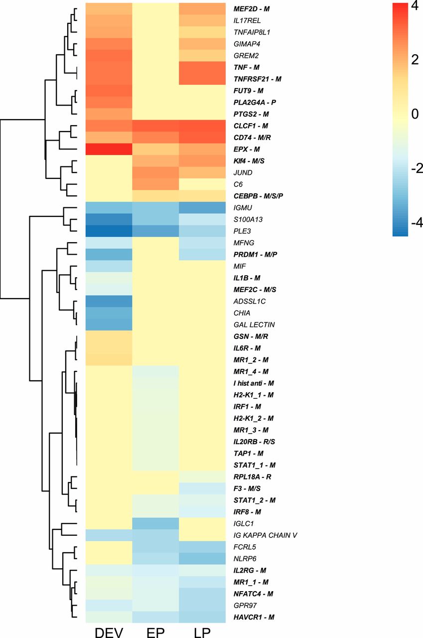 Трудности отцовства морских коньков: генетические метаморфозы иммунной системы - 6 Трудности отцовства морских коньков: генетические метаморфозы иммунной системы - 6