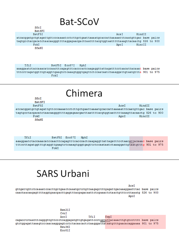SARS нерукотворный? Генеалогия уханьского коронавируса - 47
